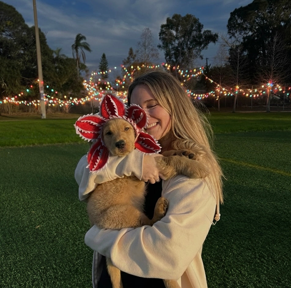 StrangerPaw™️ - Pet Accesory