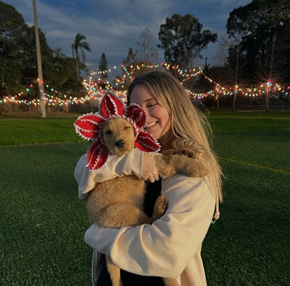 StrangerPaw™️ - Pet Accesory