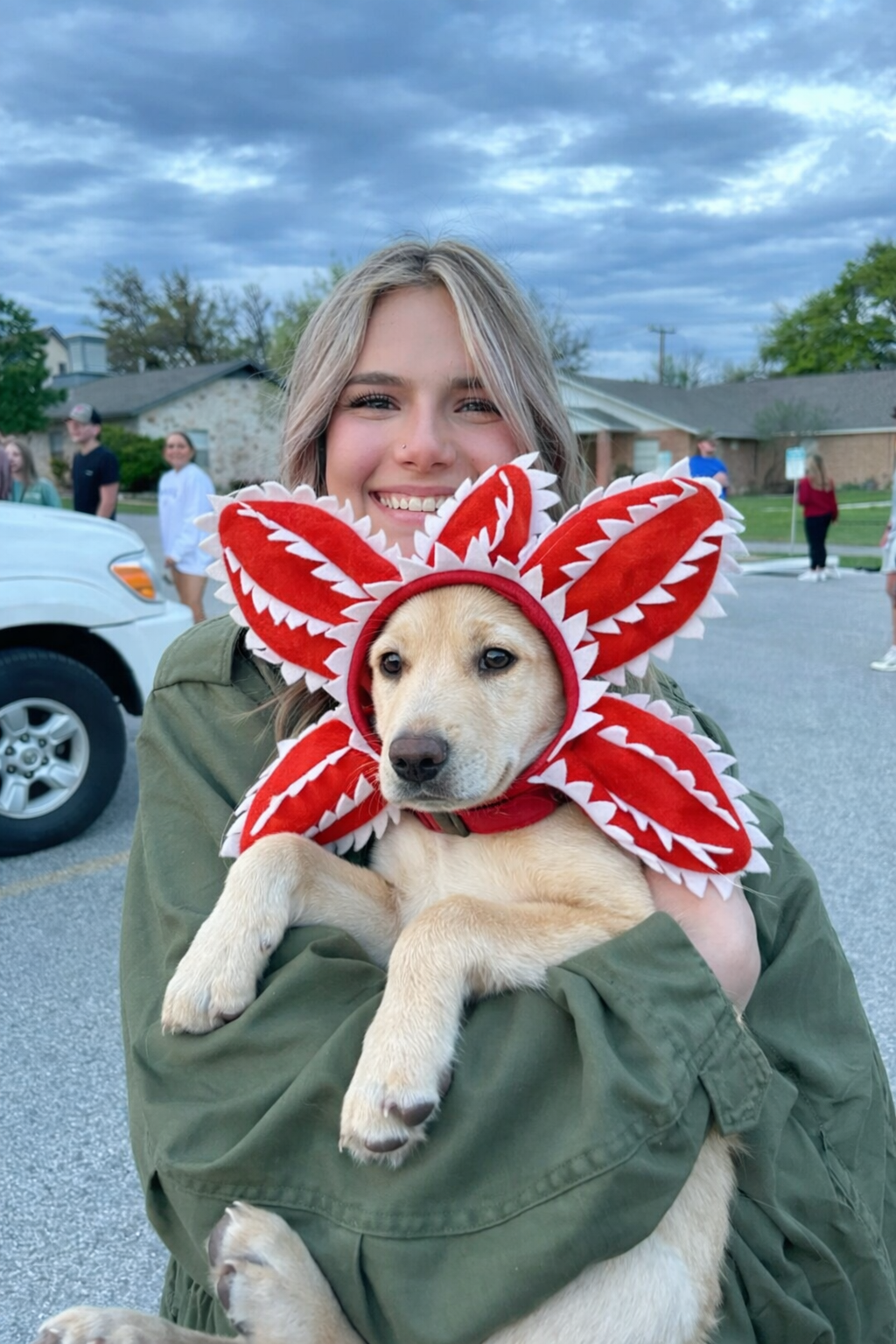 StrangerPaw™️ - Pet Accesory